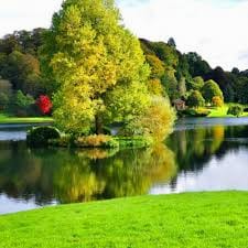 Goenawan Mohamad avatar